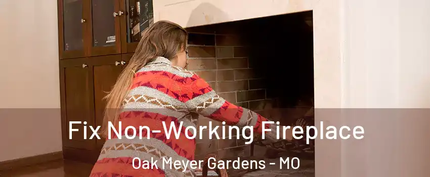 Fix Non-Working Fireplace Oak Meyer Gardens - MO