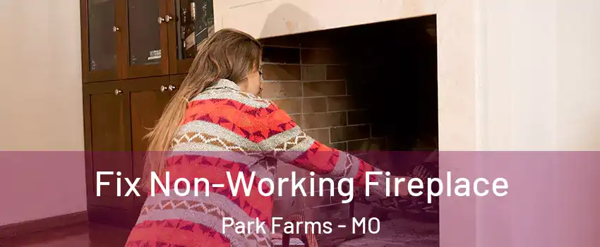 Fix Non-Working Fireplace Park Farms - MO