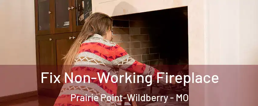 Fix Non-Working Fireplace Prairie Point-Wildberry - MO