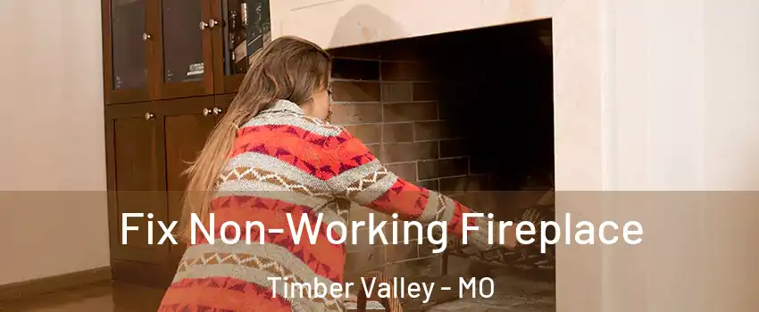 Fix Non-Working Fireplace Timber Valley - MO
