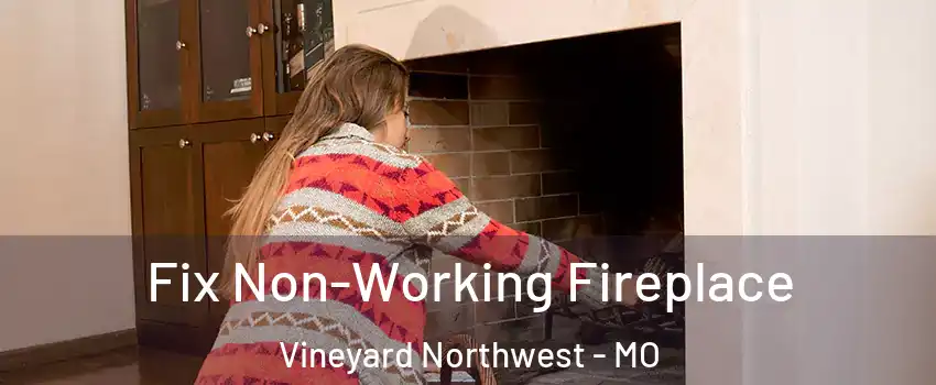 Fix Non-Working Fireplace Vineyard Northwest - MO