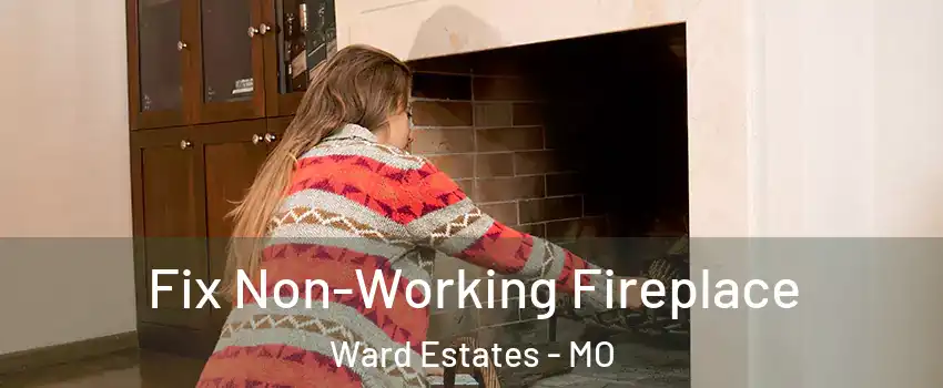 Fix Non-Working Fireplace Ward Estates - MO