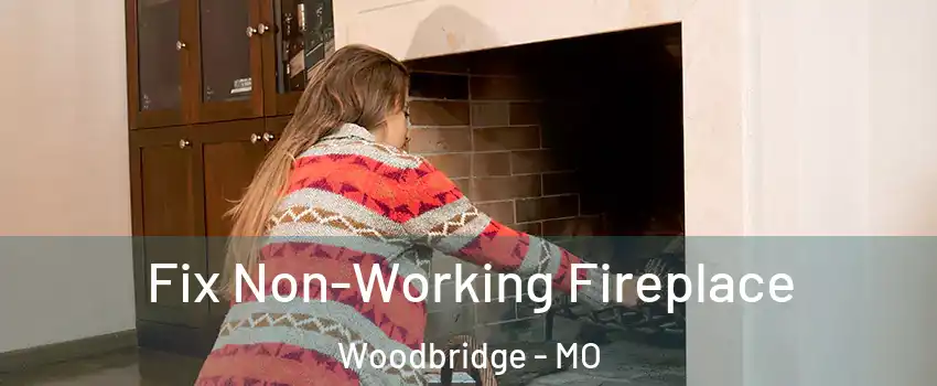 Fix Non-Working Fireplace Woodbridge - MO
