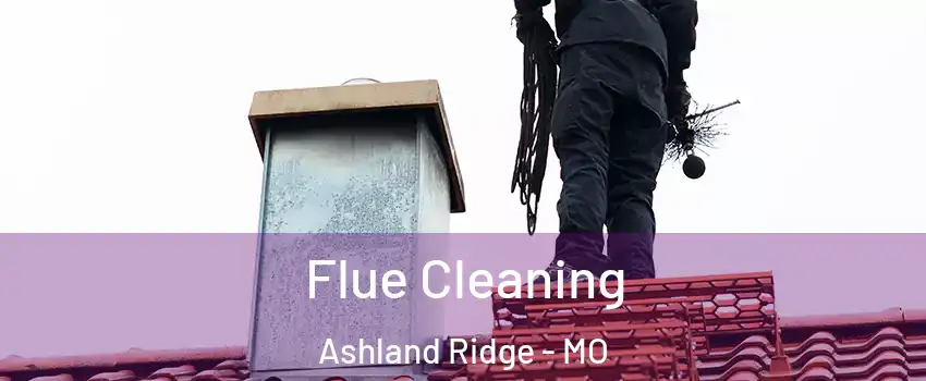 Flue Cleaning Ashland Ridge - MO