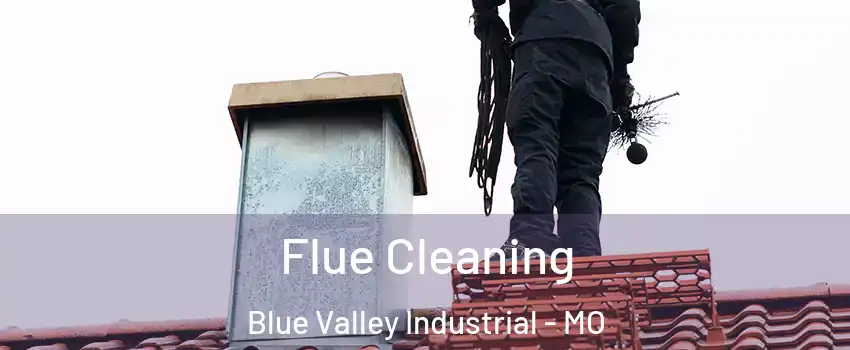 Flue Cleaning Blue Valley Industrial - MO