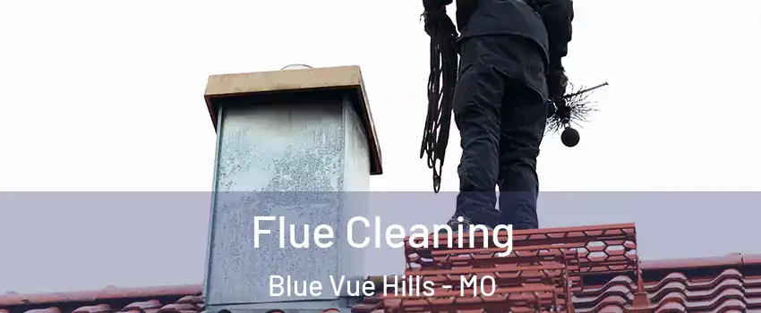 Flue Cleaning Blue Vue Hills - MO