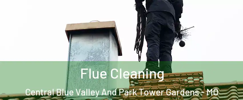 Flue Cleaning Central Blue Valley And Park Tower Gardens - MO