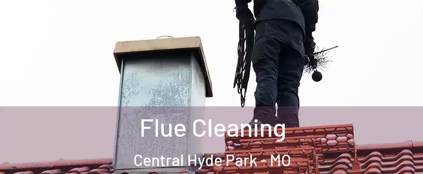 Flue Cleaning Central Hyde Park - MO