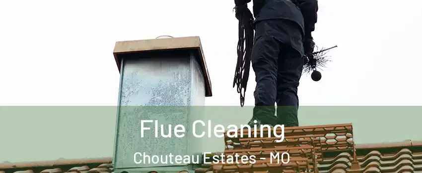Flue Cleaning Chouteau Estates - MO