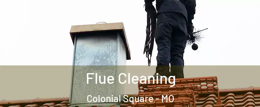 Flue Cleaning Colonial Square - MO