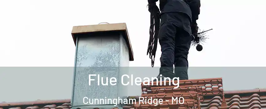 Flue Cleaning Cunningham Ridge - MO