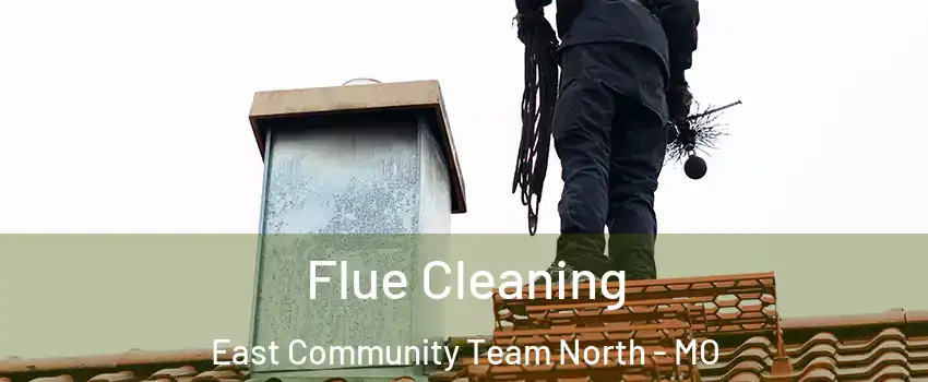 Flue Cleaning East Community Team North - MO