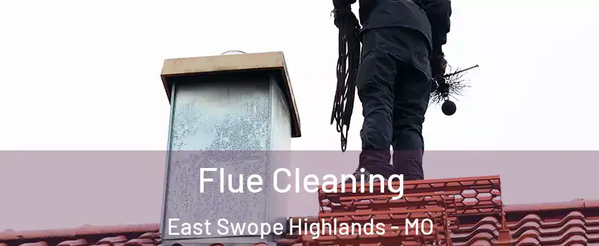 Flue Cleaning East Swope Highlands - MO
