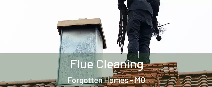 Flue Cleaning Forgotten Homes - MO