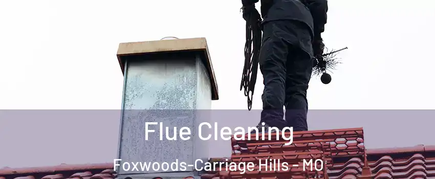 Flue Cleaning Foxwoods-Carriage Hills - MO