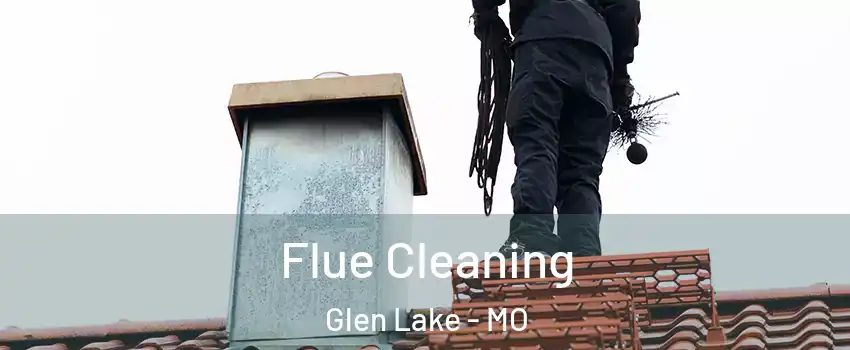 Flue Cleaning Glen Lake - MO