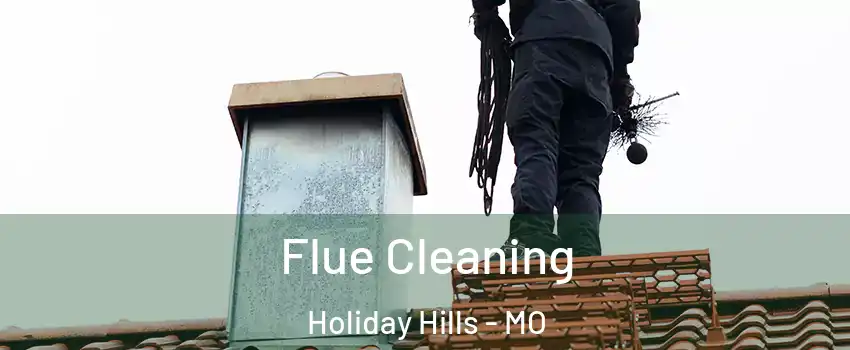 Flue Cleaning Holiday Hills - MO