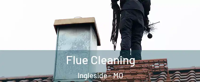 Flue Cleaning Ingleside - MO