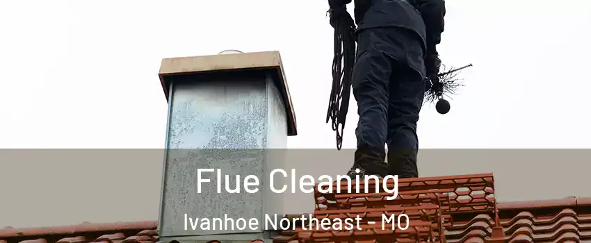 Flue Cleaning Ivanhoe Northeast - MO