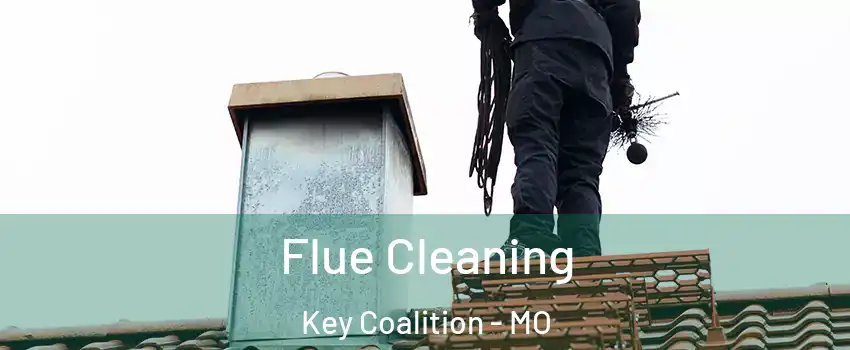 Flue Cleaning Key Coalition - MO