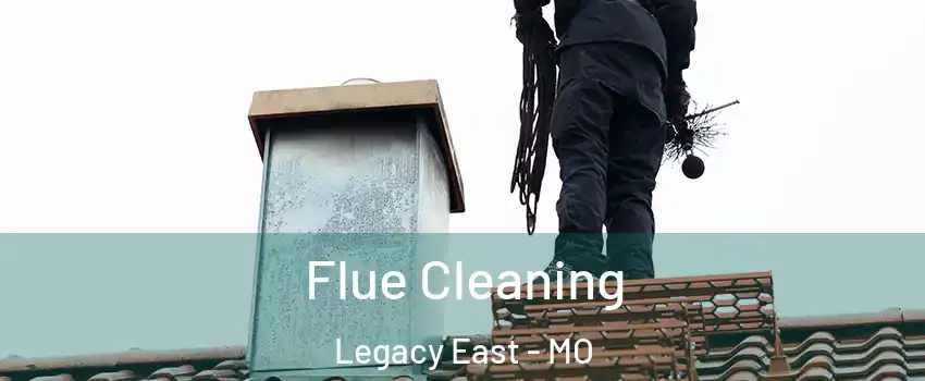 Flue Cleaning Legacy East - MO