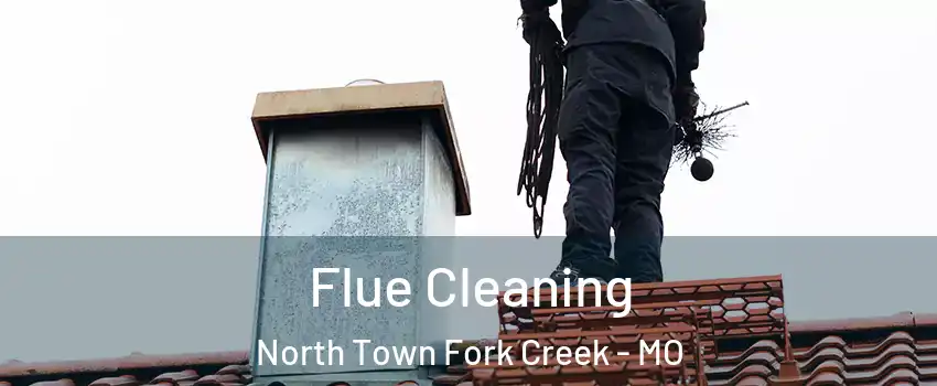 Flue Cleaning North Town Fork Creek - MO