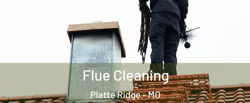 Flue Cleaning Platte Ridge - MO