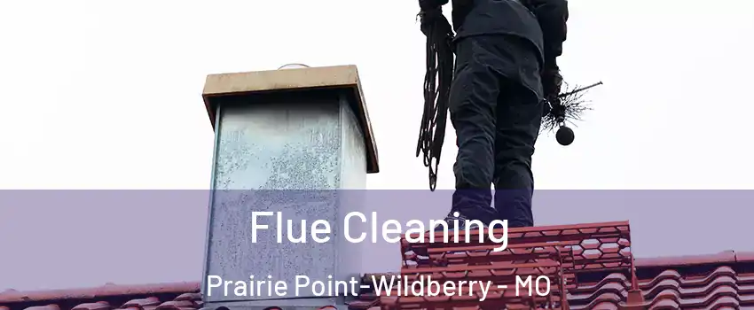 Flue Cleaning Prairie Point-Wildberry - MO
