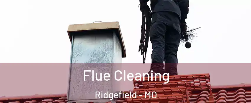 Flue Cleaning Ridgefield - MO