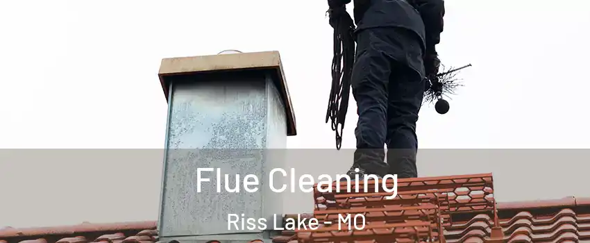 Flue Cleaning Riss Lake - MO