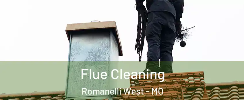 Flue Cleaning Romanelli West - MO