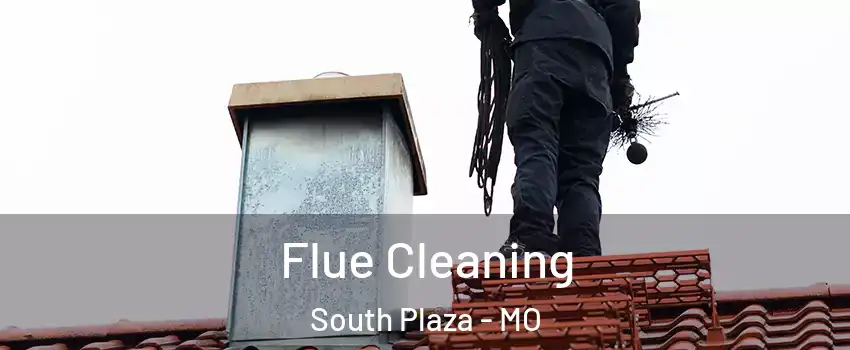Flue Cleaning South Plaza - MO