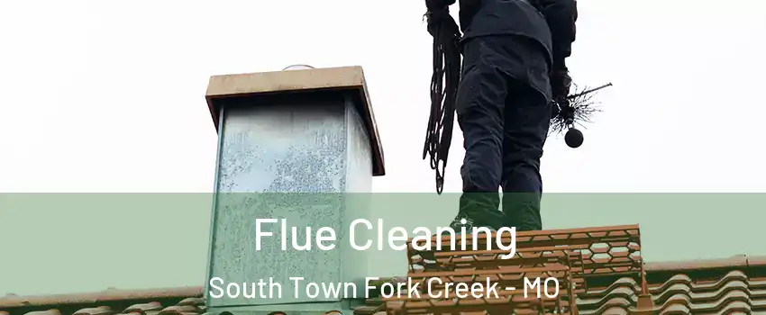 Flue Cleaning South Town Fork Creek - MO