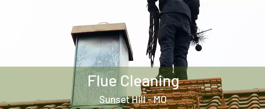 Flue Cleaning Sunset Hill - MO
