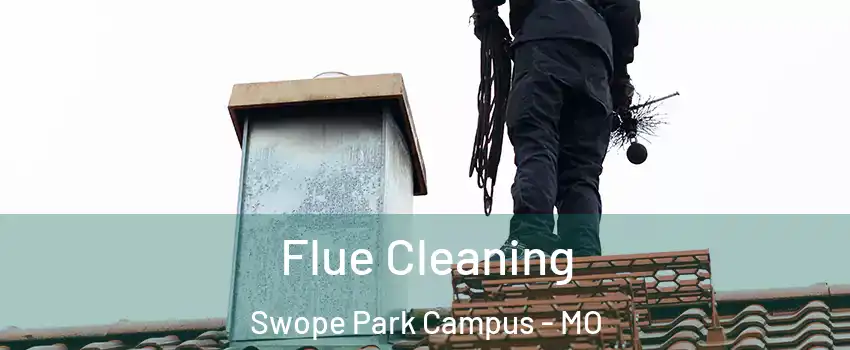 Flue Cleaning Swope Park Campus - MO