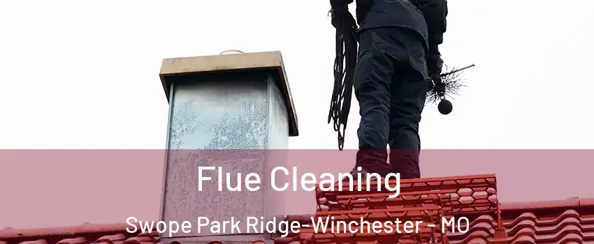 Flue Cleaning Swope Park Ridge-Winchester - MO