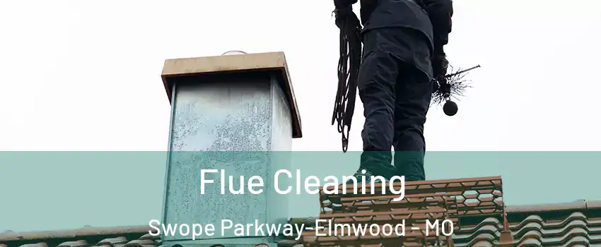 Flue Cleaning Swope Parkway-Elmwood - MO