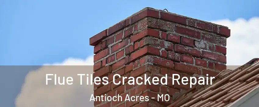 Flue Tiles Cracked Repair Antioch Acres - MO