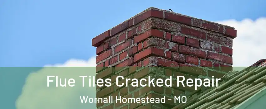 Flue Tiles Cracked Repair Wornall Homestead - MO