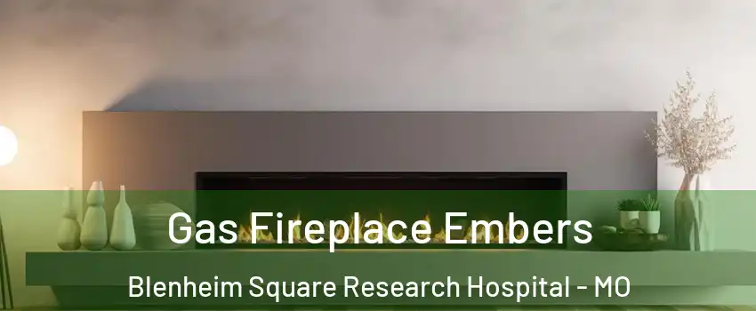 Gas Fireplace Embers Blenheim Square Research Hospital - MO