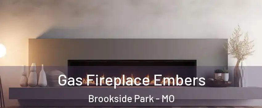 Gas Fireplace Embers Brookside Park - MO