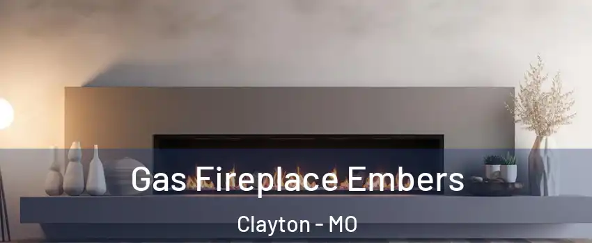 Gas Fireplace Embers Clayton - MO