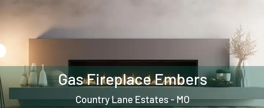 Gas Fireplace Embers Country Lane Estates - MO