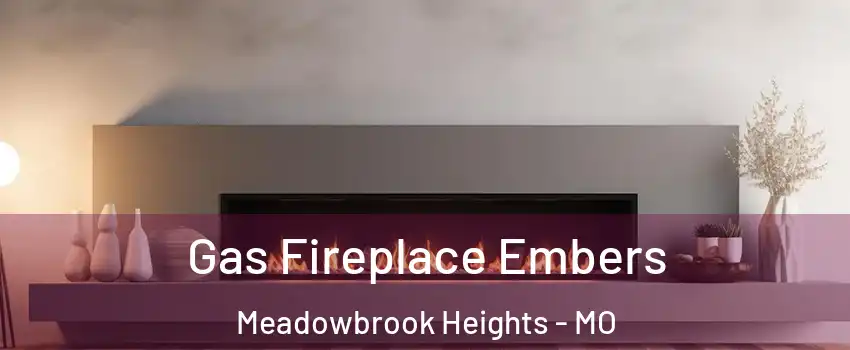 Gas Fireplace Embers Meadowbrook Heights - MO