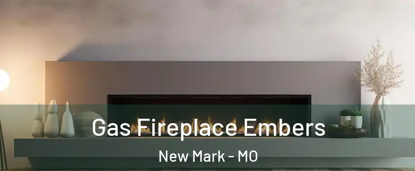 Gas Fireplace Embers New Mark - MO