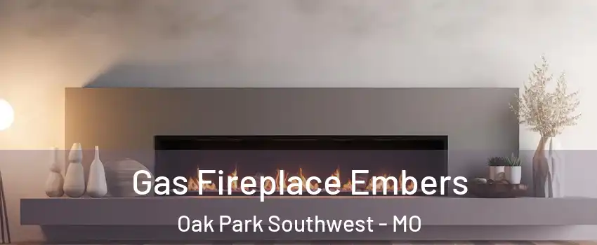 Gas Fireplace Embers Oak Park Southwest - MO