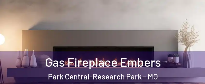 Gas Fireplace Embers Park Central-Research Park - MO