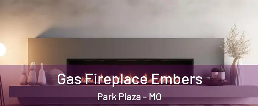 Gas Fireplace Embers Park Plaza - MO