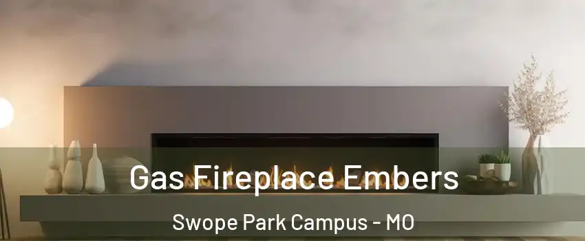 Gas Fireplace Embers Swope Park Campus - MO