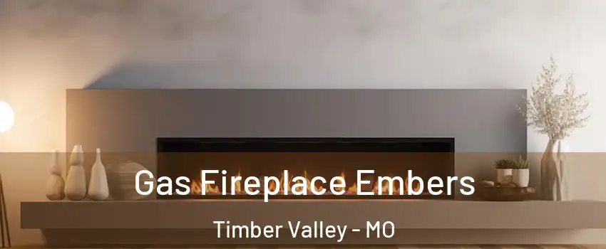 Gas Fireplace Embers Timber Valley - MO